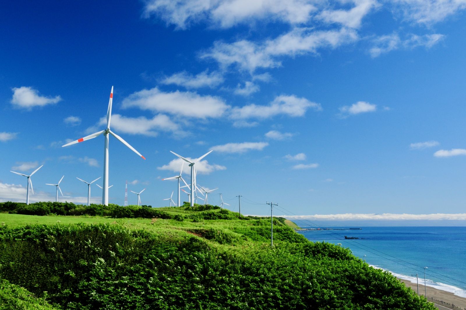 発電所運用